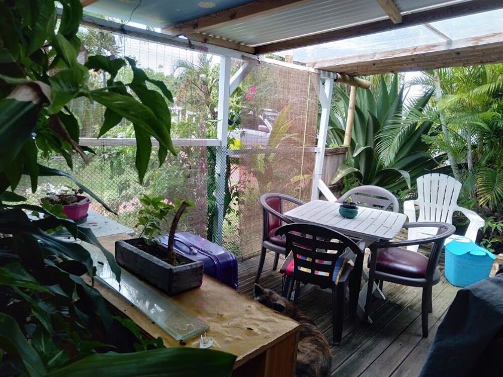Location Appartement F1. 2 terrasses , jardin tropical Saint-françois