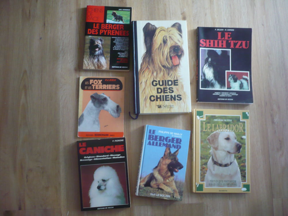LOT DE 7 OUVRAGES SUR LES CHIENS&nbsp;: Livres et BD