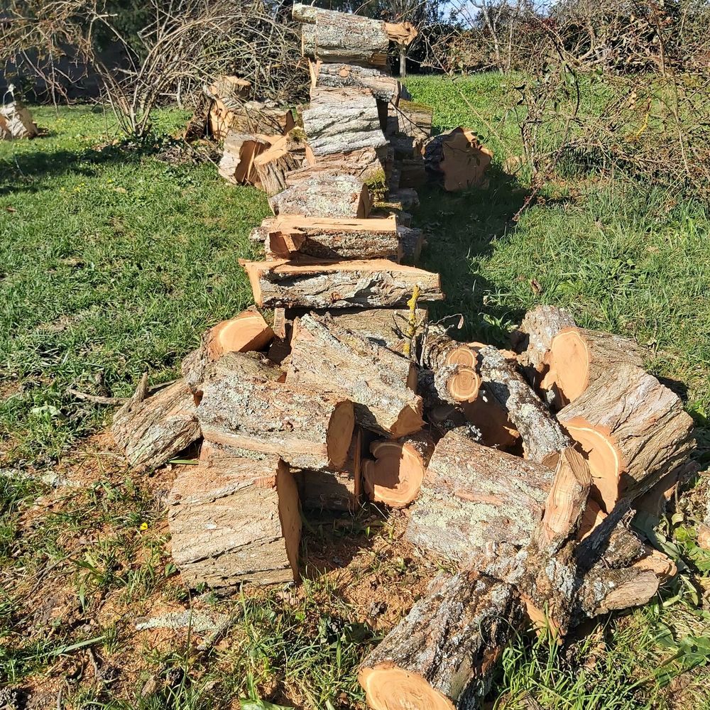 Bois de chauffage Jardin