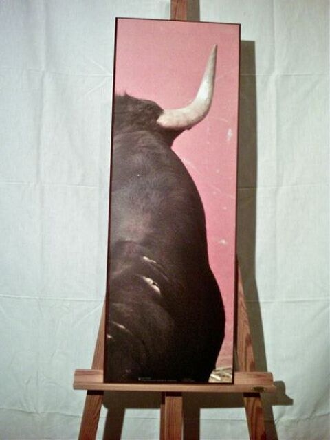 TAUROMACHIE :   LA CORNE DROITE    38 Anglet (64)