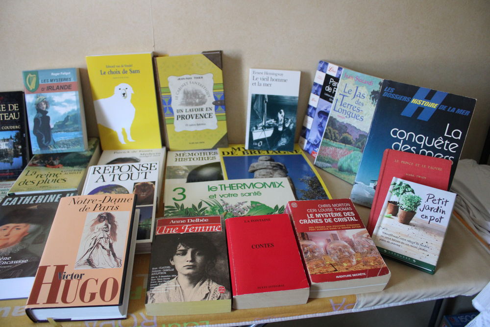 lot de 45 livres occasion Livres et BD