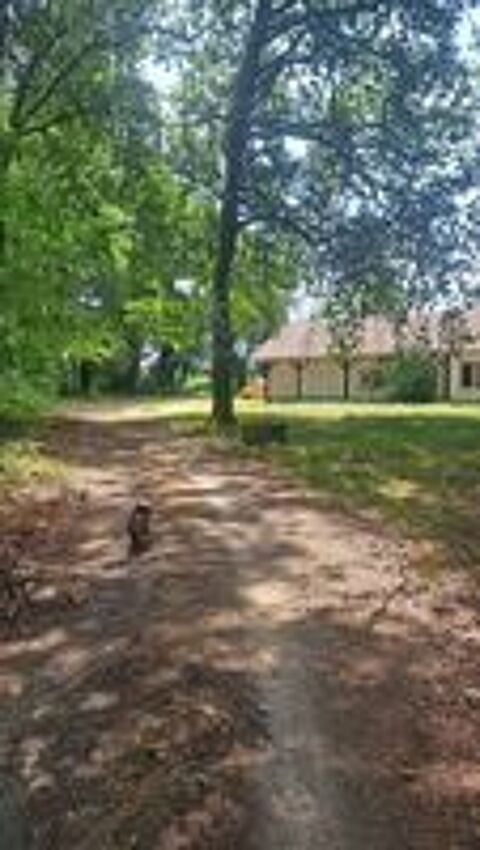   pension familiale pour chiens- Les Toutous des Bois de Cère aux alentours de Mont de Marsan 