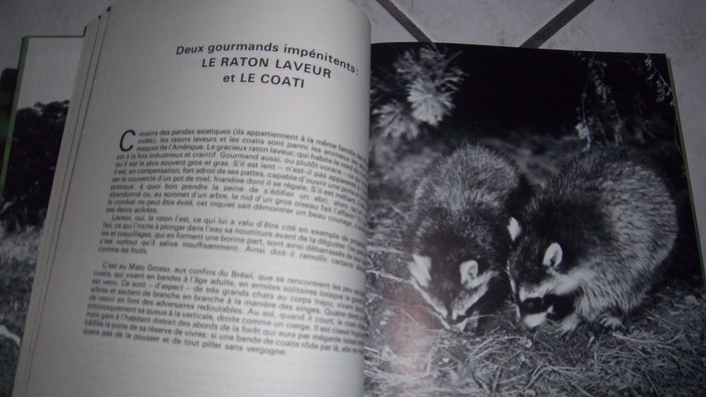 LES GRANDES ENIGMES DE LA VIE DES ANIMAUX 1 et 2 Livres et BD