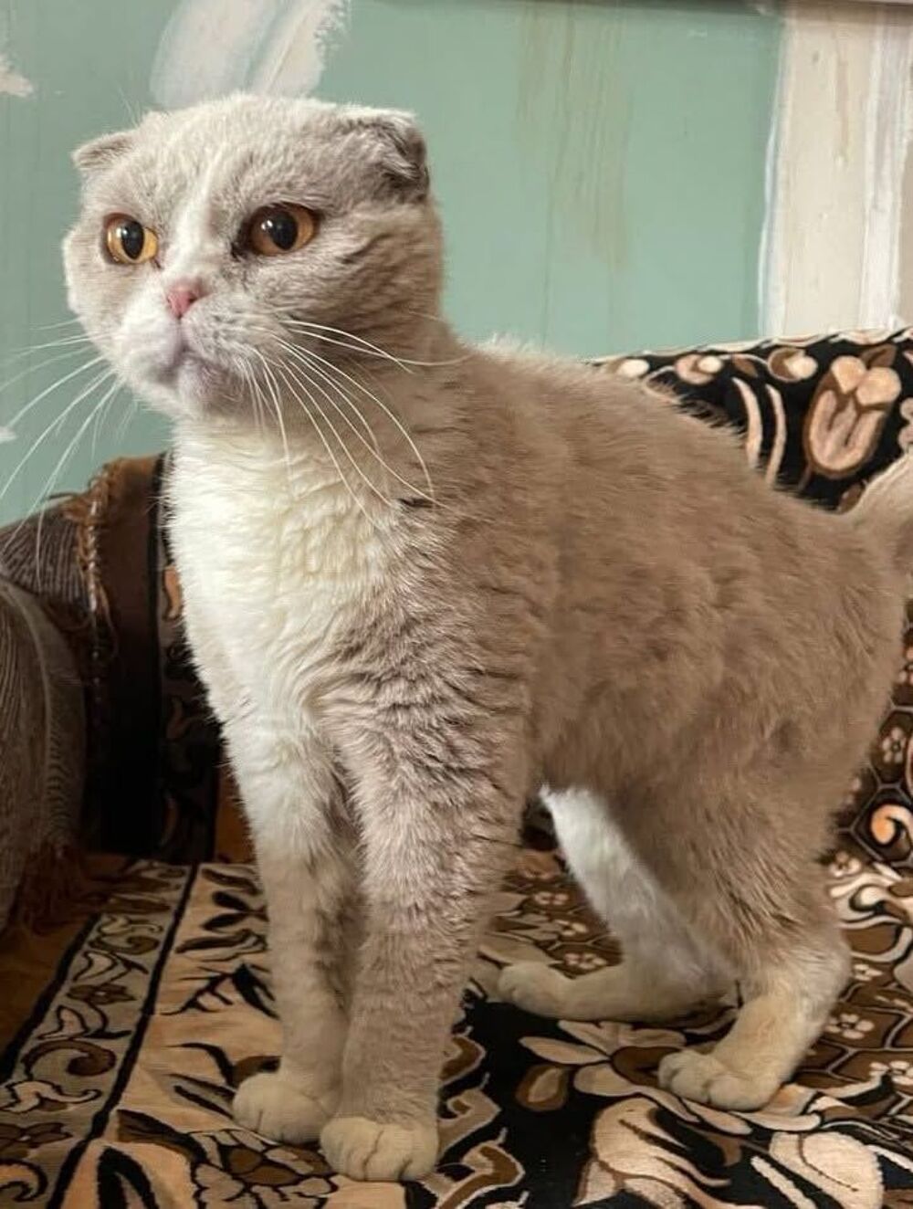   JASMINE SE TROUVE DANS UN REFUGE EN UKRAINE 