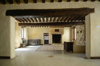  Hôtel Particulier à vendre 12 pièces 350 m²