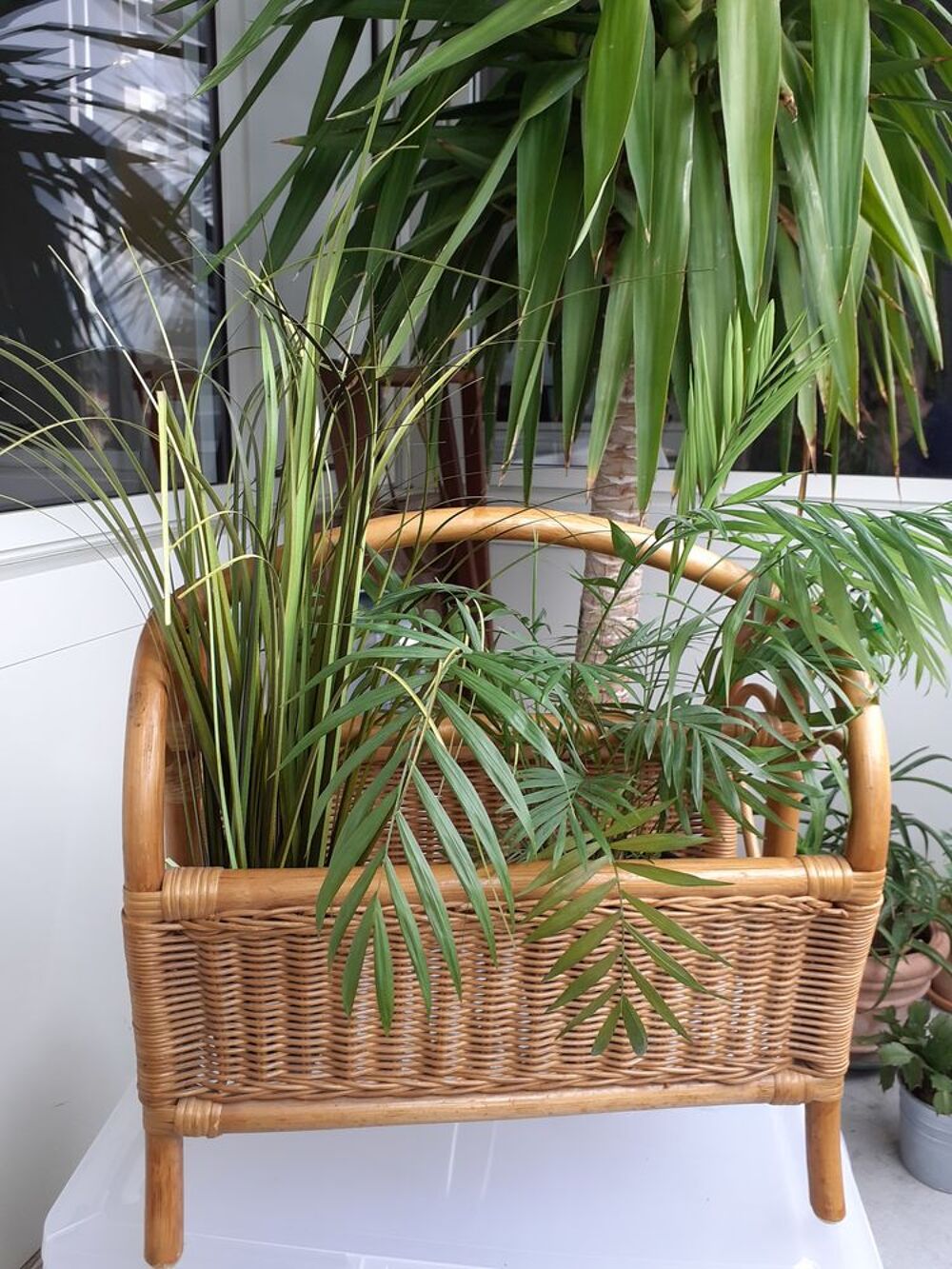 Porte revue en rotin Décoration