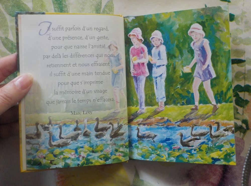 5 RECUEILS DE CITATIONS SERENITE AMITIE BONHEUR AMOUR JOIE Livres et BD