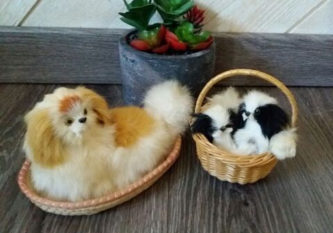Lot chien race p�kinois en poils et dans un panier - ancien 10 Domart-en-Ponthieu (80)