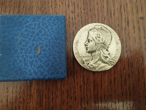 MEDAILLE DU TRAVAIL EN BRONZE 7 Brie-Comte-Robert (77)