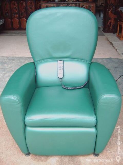 fauteuil en cuir vert tout nf 400 Saran (45)