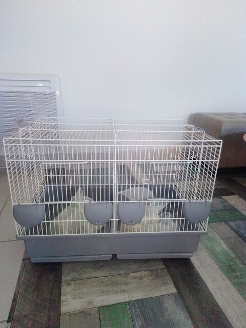 cage a oiseaux 60 82300 Caussade