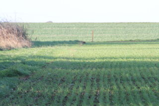  Terrain � vendre 24839 m�