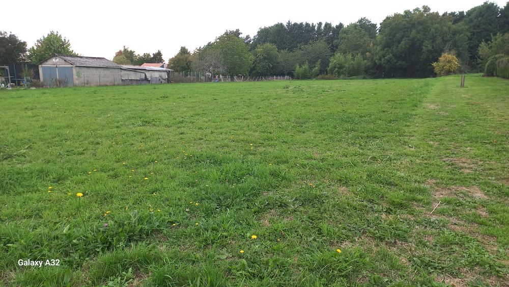 Vente Terrain Terrain constructible à Le Dorat Le dorat
