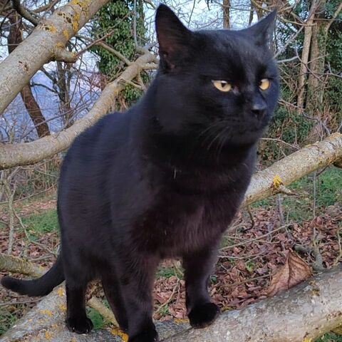 BOOBA 180 26100 Romans-sur-is�re