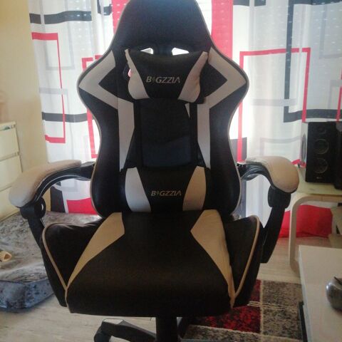 Fauteuil sur roulettes 45 Blois (41)