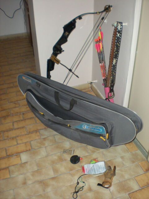 Arc  poulie 250 Ambars-et-Lagrave (33)