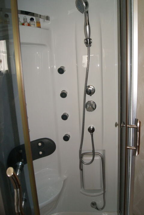 canine de douche Saint-Loup-Cammas (31)