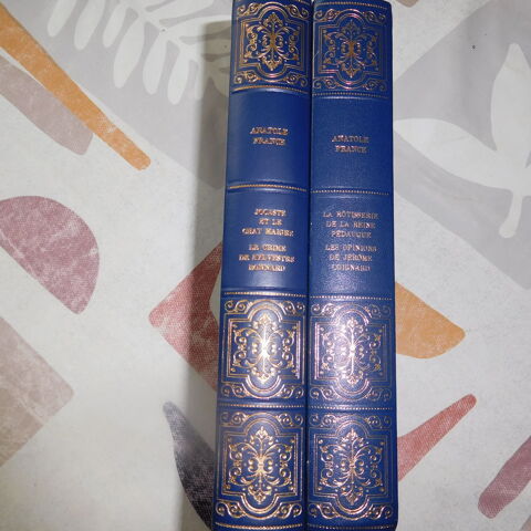 livres classiques 2 Saint-Mathurin-sur-Loire (49)