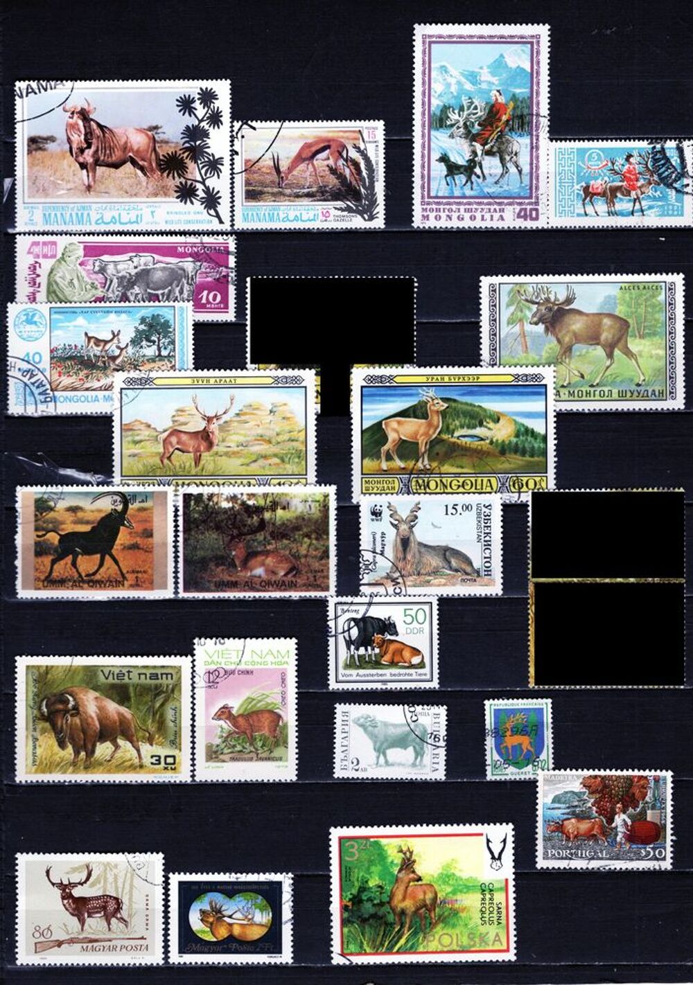 lot de 54 timbres du MONDE avec des BOVIDES et des CERVIDES 