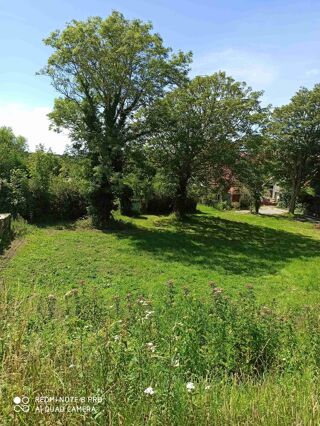  Terrain � vendre 1245 m�