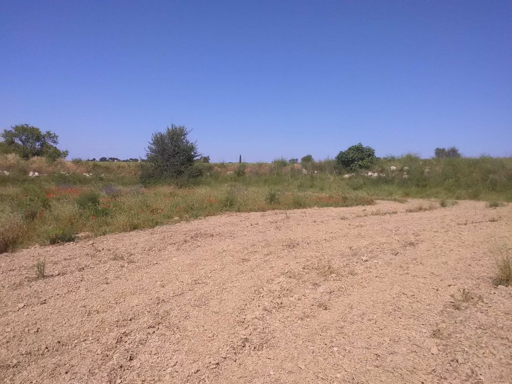 Location Terrain Terrains de loisir clôturés sur Lespignan Lespignan