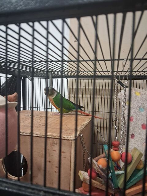 2 molinaes 150 60710 Chevrires