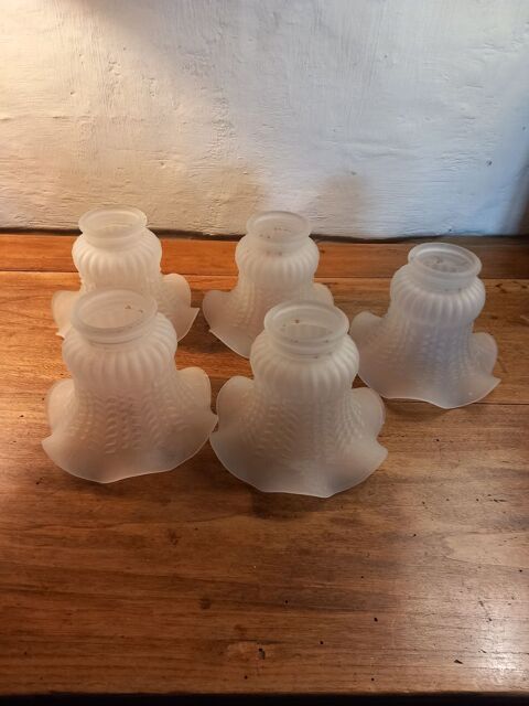 tulipes 10 Caden (56)