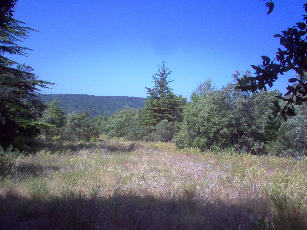 Vente Terrain Terrain de Loisirs Bonnieux