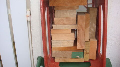 ACAJOU DOUCIER 2 Saint-M�dard-en-Jalles (33)