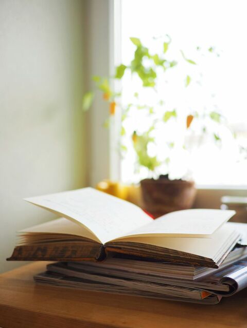 Apprendre et ma&icirc;triser le fran&ccedil;ais &agrave; tout &acirc;ge 0 33530 Bassens