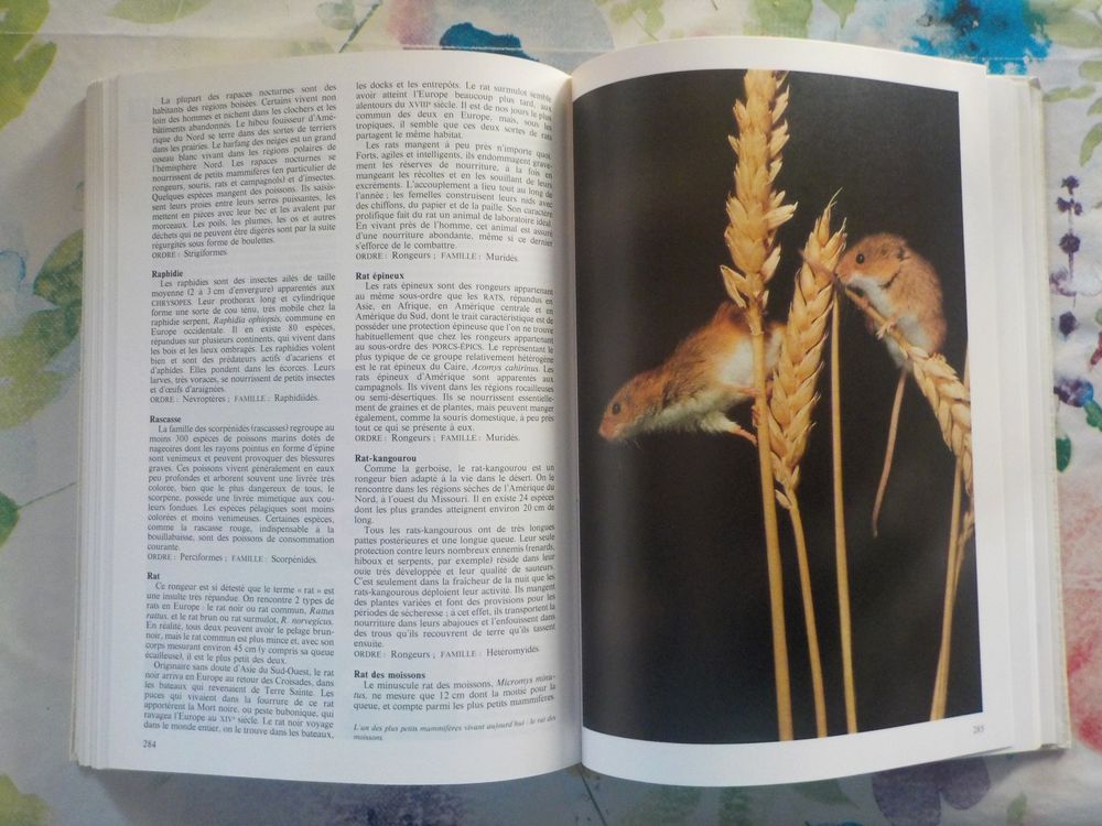 LA NOUVELLE ENCYCLOPEDIE DES ANIMAUX Ed. France Loisirs Livres et BD