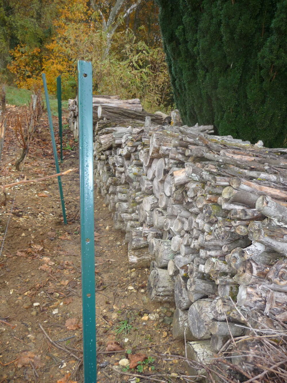 Bois de Chauffage Jardin