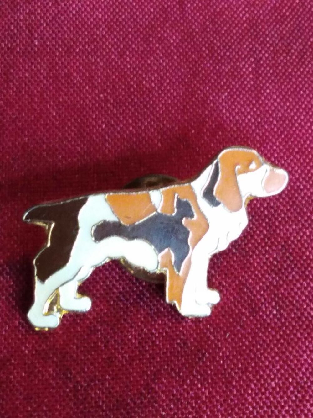 Pin's chien 
