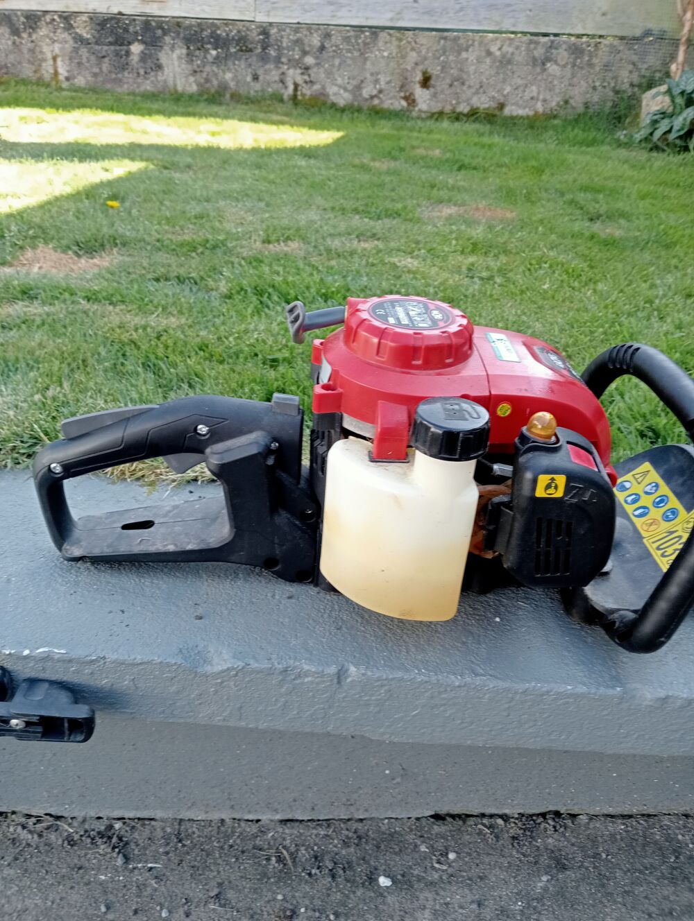 Taille haie thermique Jardin