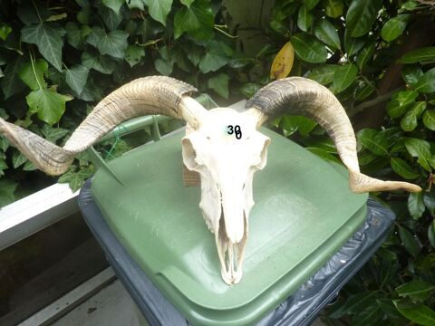 Saisissez le titre de votre objet. 0 Saint-Mdard-en-Jalles (33)