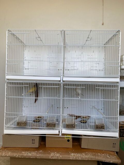 2 cages double 60 60800 Cr�py-en-valois