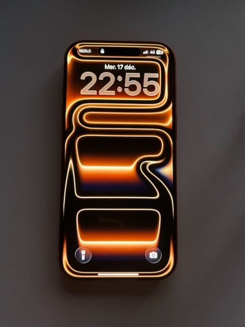 iPhone 17. Pro  650 Bouguenais (44)