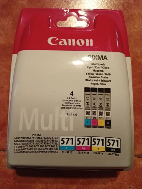 Cartouches d'encre neuves canon 571 15 Pessan (32)