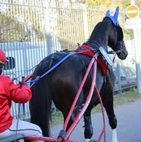   Lord de marcay  