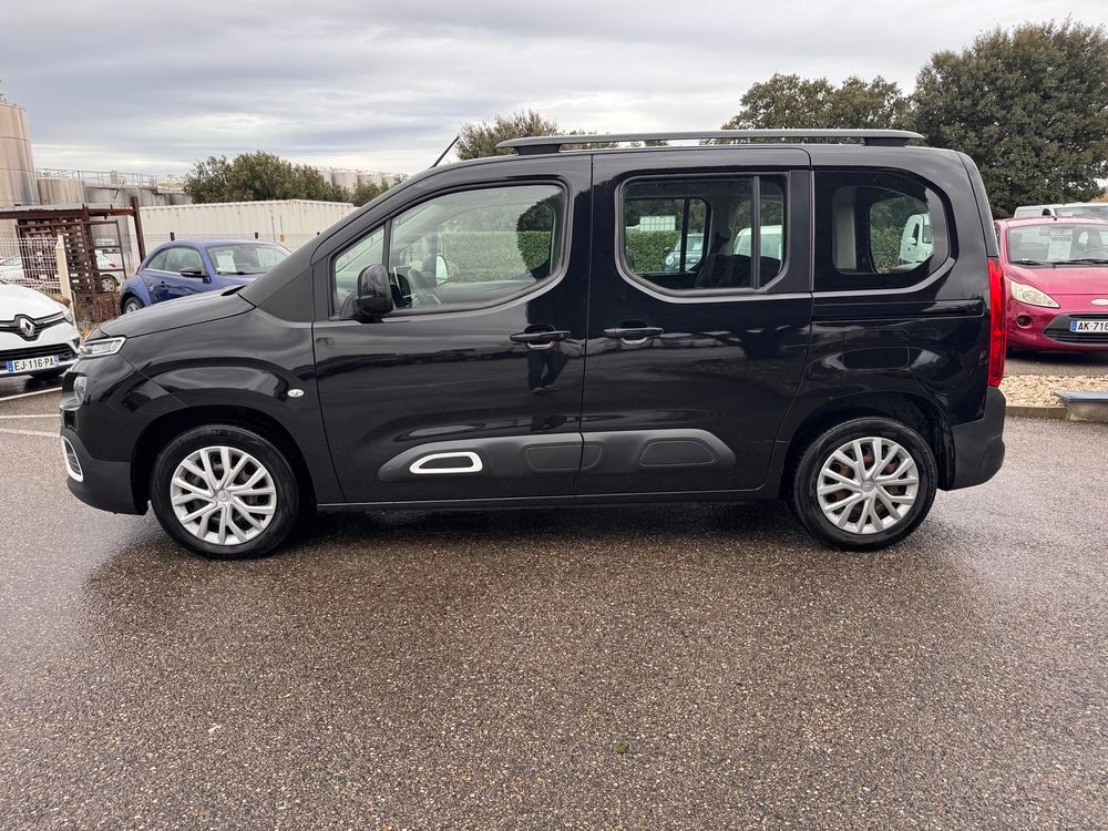 Berlingo Taille M PureTech 110 S&S BVM6 Feel 2020 occasion 84290 Sainte-C&eacute;cile-les-Vignes