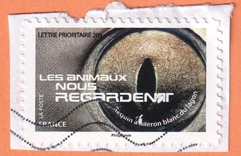 Timbre requin 0 Valenciennes (59)