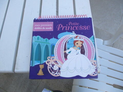 LIVRES ENFANTS 5 Castres (81)