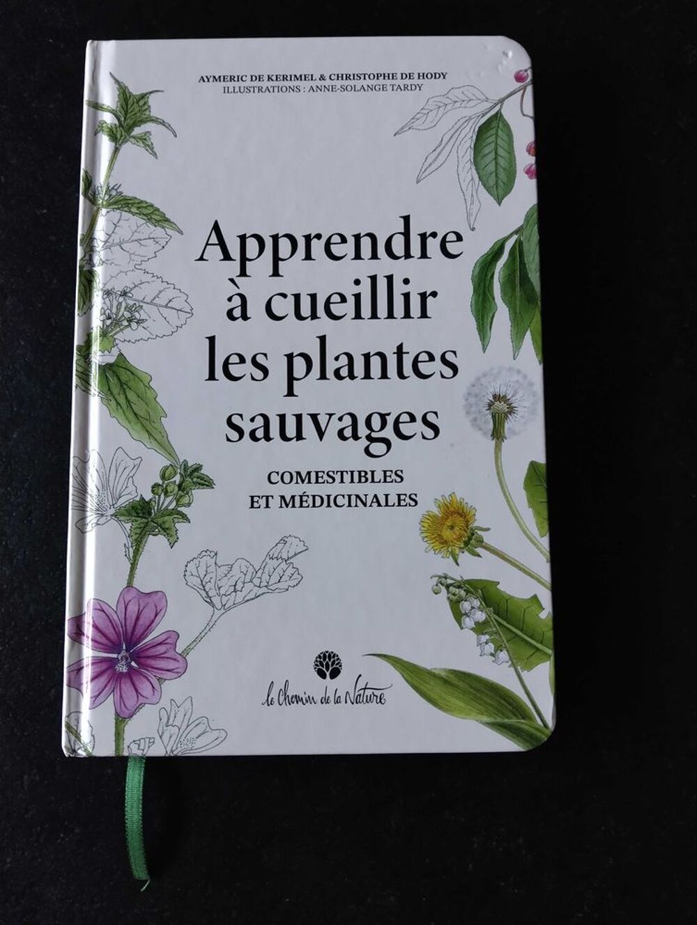 apprendre &agrave; cueillir les plantes sauvages Livres et BD