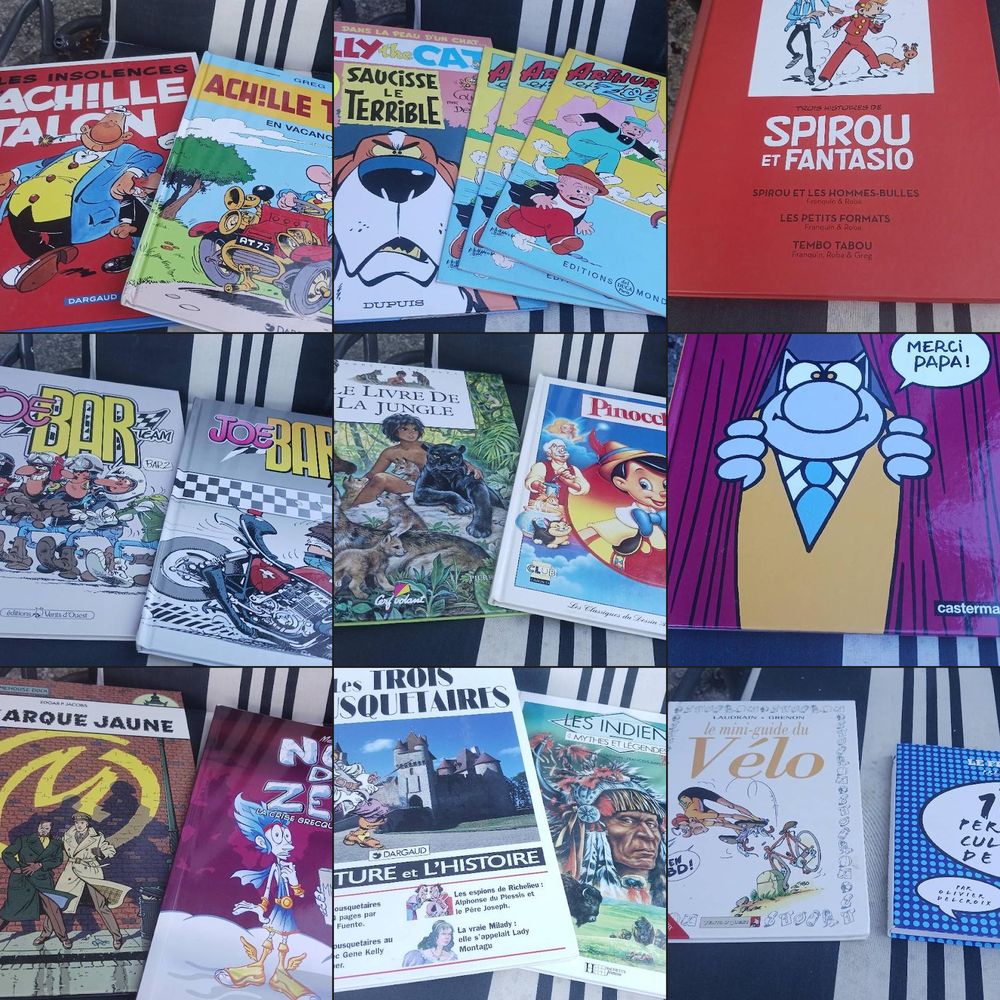 COLLECTION de 49 BD &Agrave; saisir Livres et BD