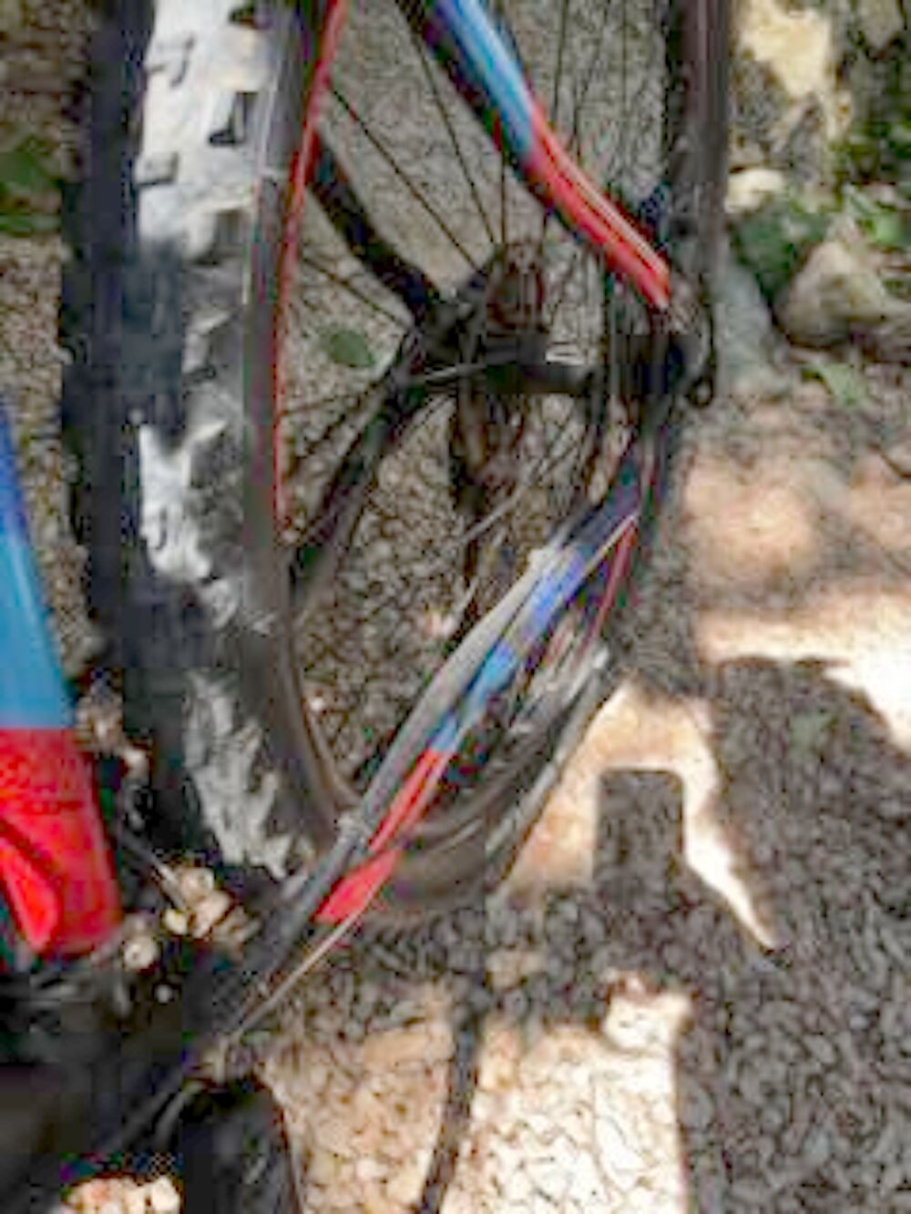 VTT LaPiere Raid - Taille M Vélos