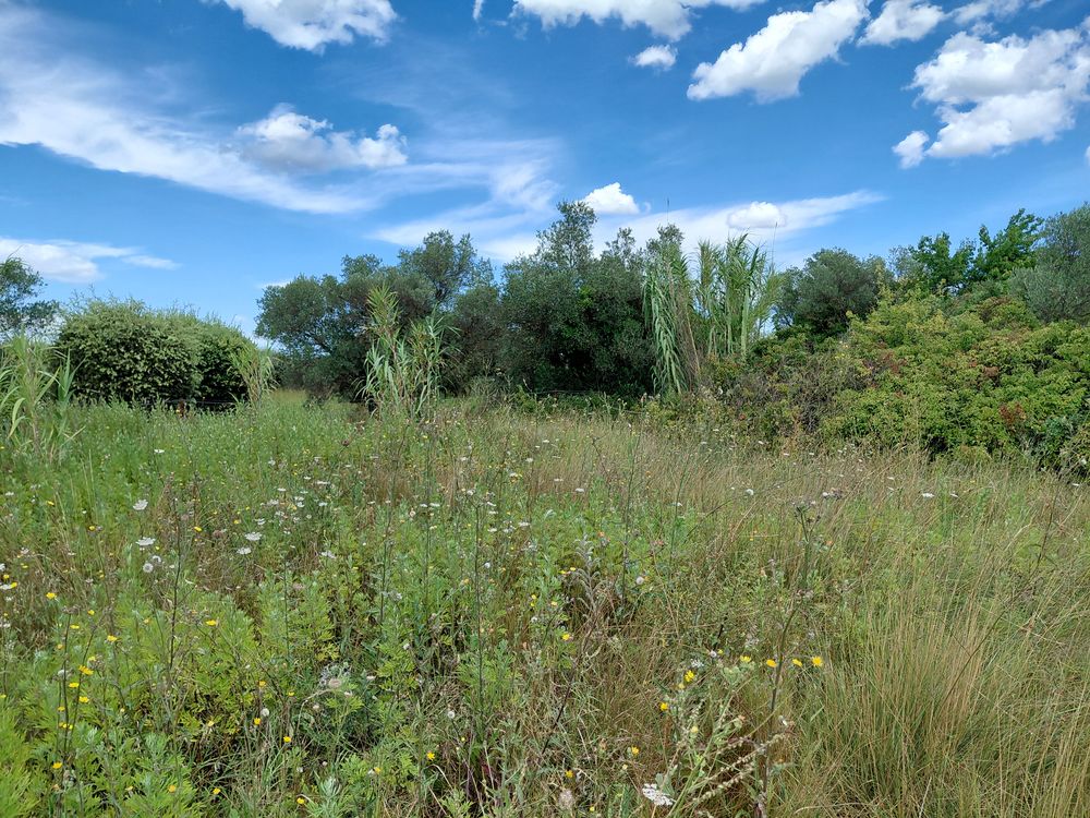 Location Terrain Jardin pour potager et camping car Saint-hilaire-d'ozilhan