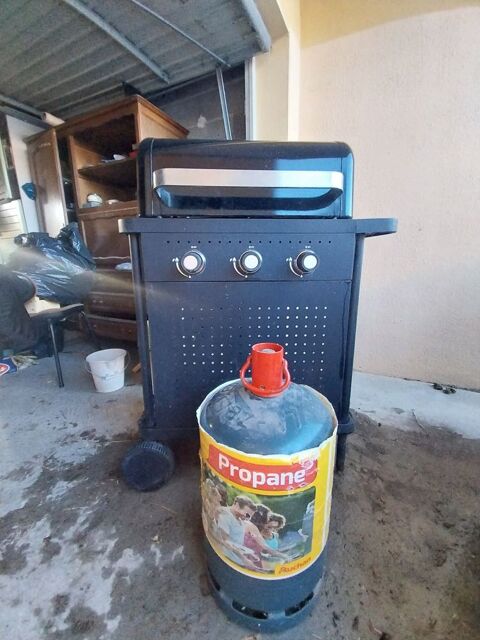 Barbecue gaz. 80 Valence (26)