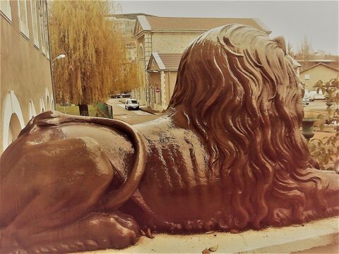 LOT 450 T SHIRT FRUIT OF TEH LOMM 0 V�rin (42)