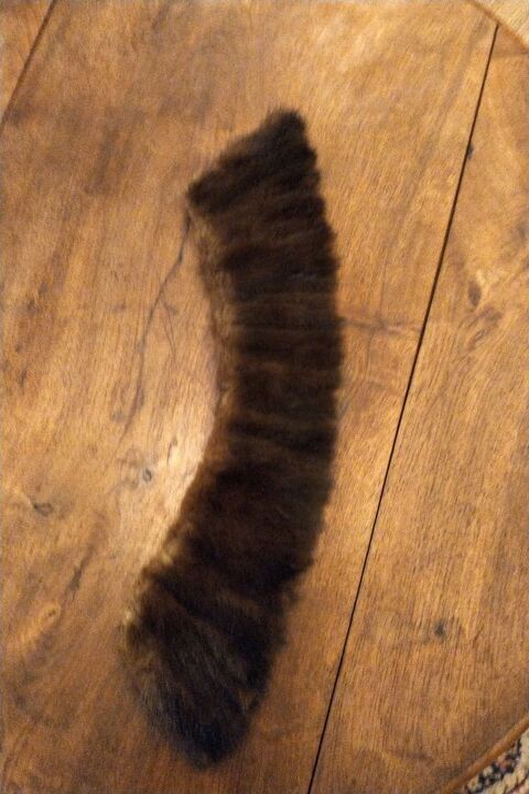 Col vison vintage 25 Paris 17 (75)