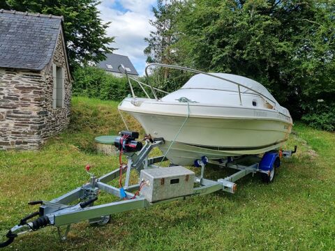 Bateaux à moteur Pêche-promenade 2004 occasion Châteaulin 29150